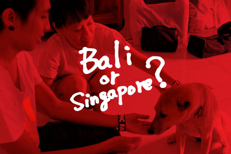 Bali or Singapore?