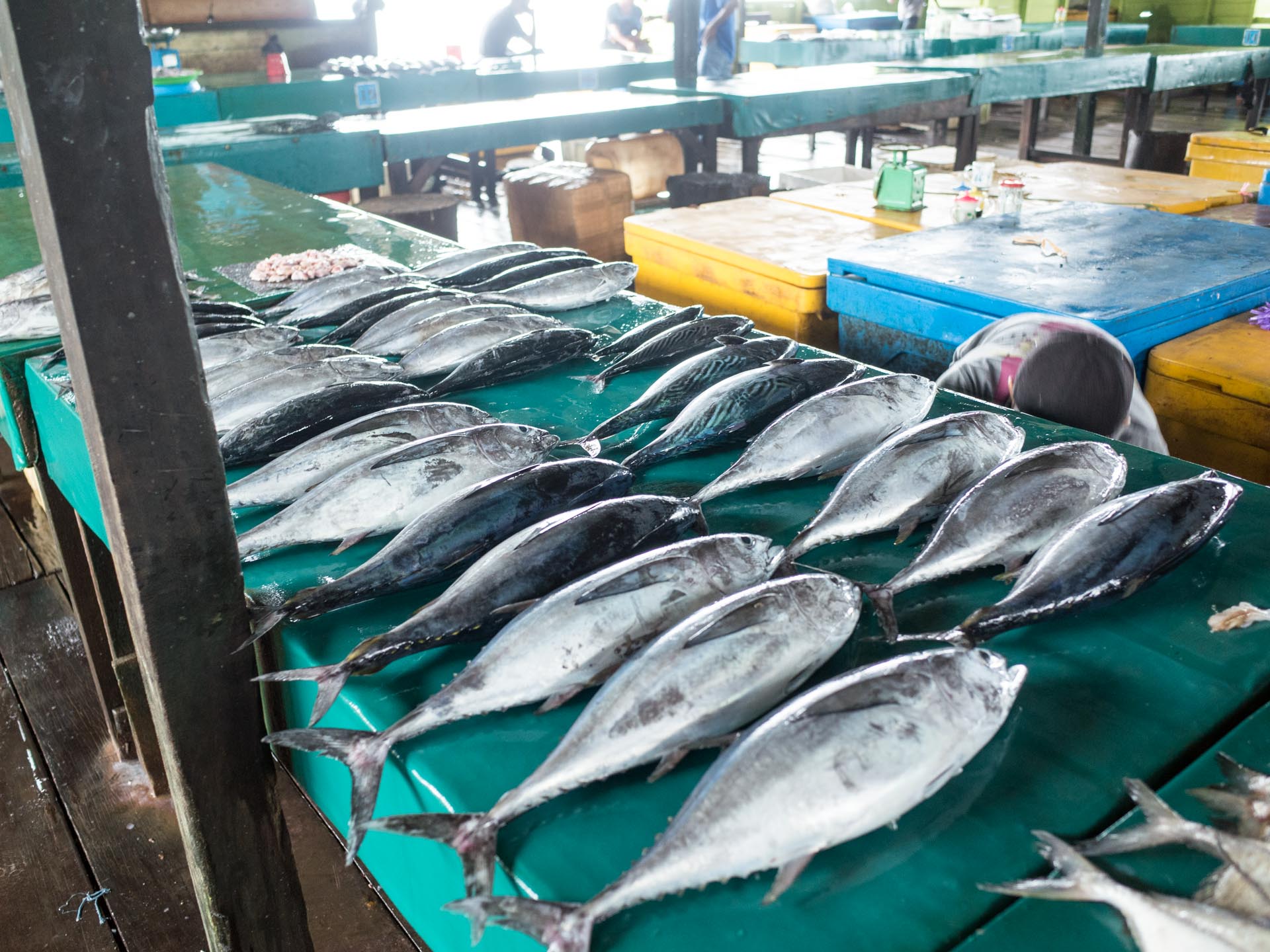 （リアウ諸島）ナトゥナ島海鮮市場