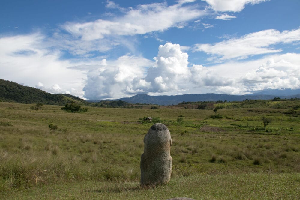 【インドネシア全34州の旅】#31　中部スラウェシ州①　人や動物、謎の石像遺跡群