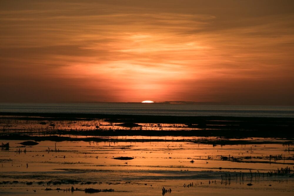 【インドネシア全34州の旅】#51　東ヌサトゥンガラ州⑧　ロテ島　インドネシア最南端へ