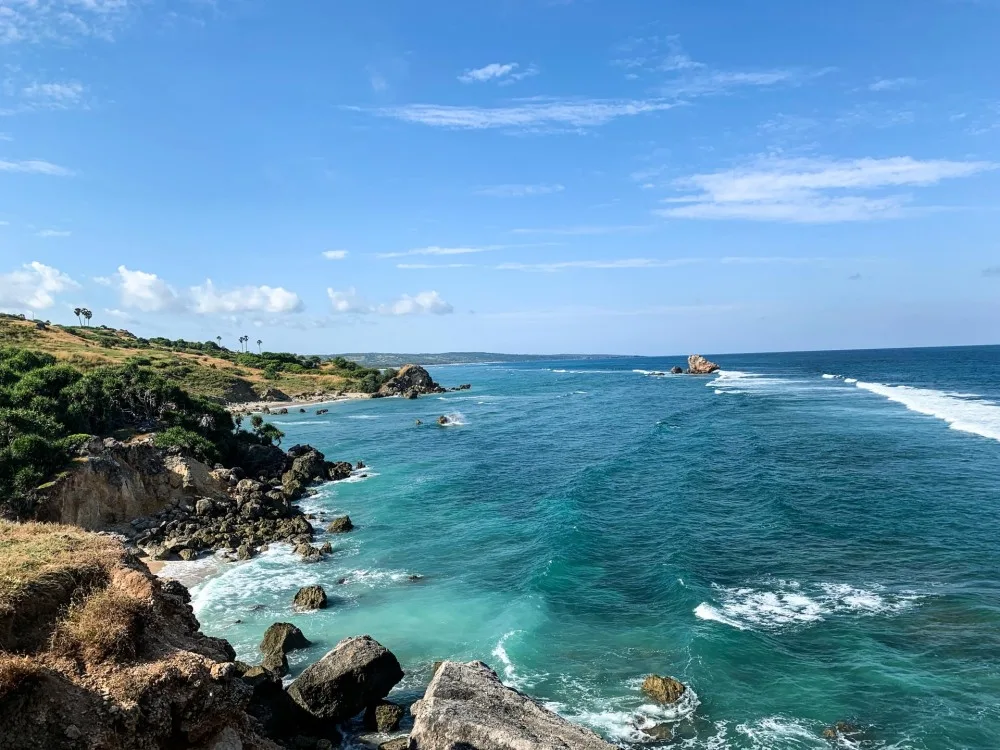 インドネシア全34州の旅】#52 東ヌサトゥンガラ州⑨ サブ島 扇