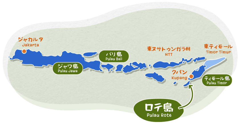 ロテ島地図