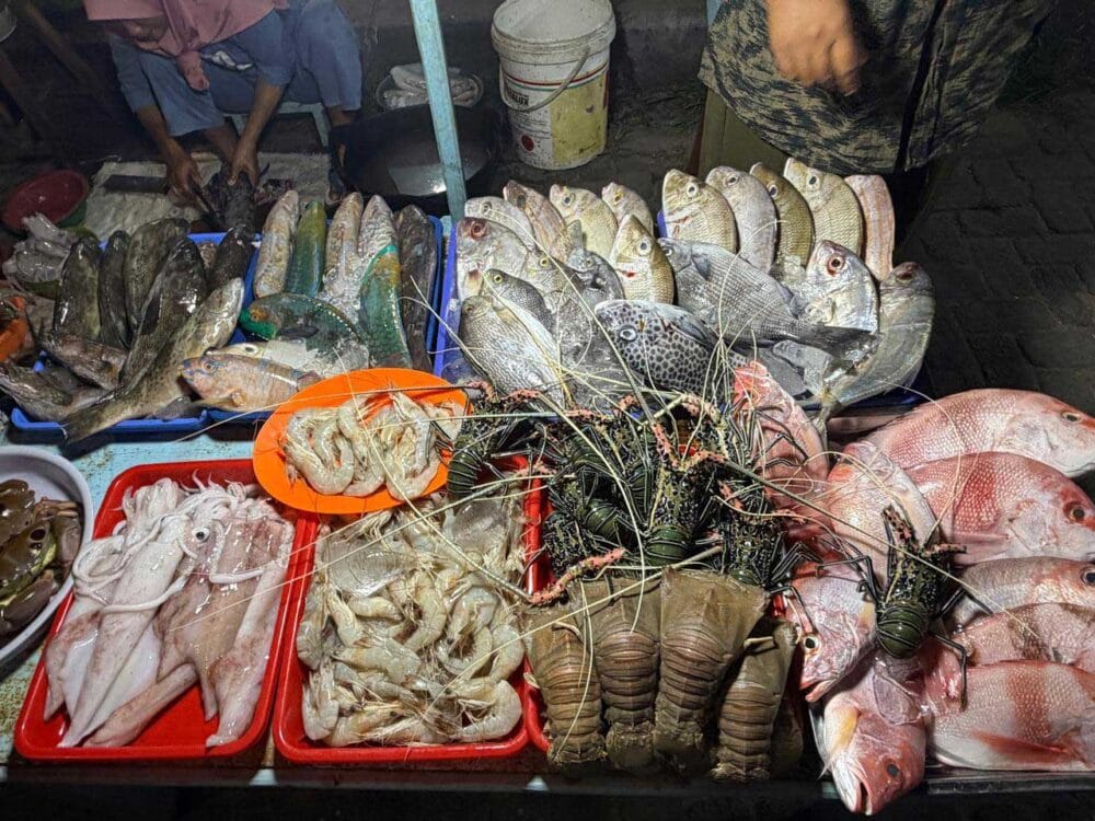 新鮮な魚、イカ、カニ、エビ、貝など