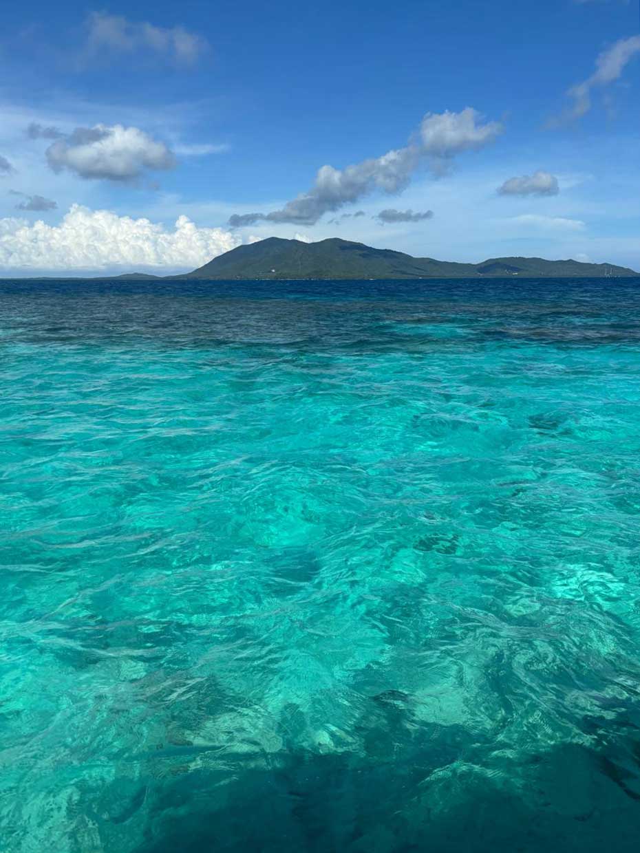 美しい海には魚がいっぱいだ