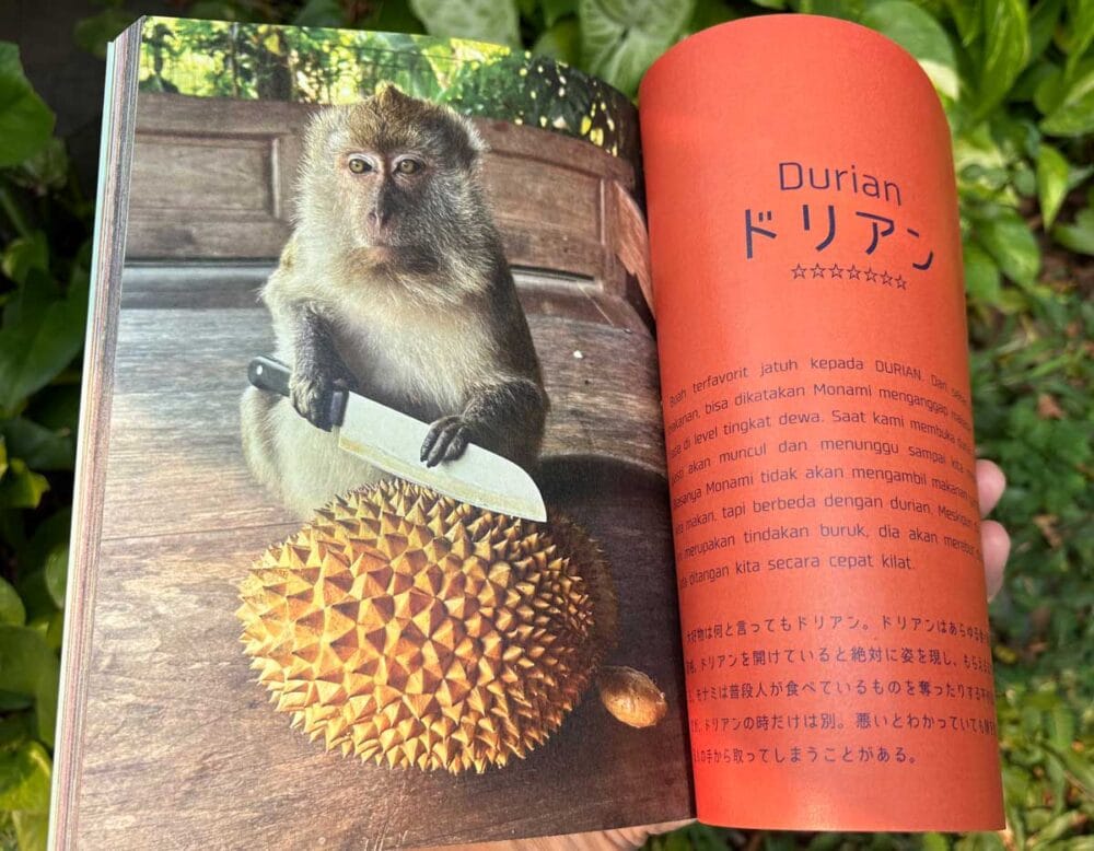 大好物のドリアンを前に包丁を手にしたモナミが最高（「インドネシア、ボロブドゥールで暮らすお猿、モナミの日常」より）