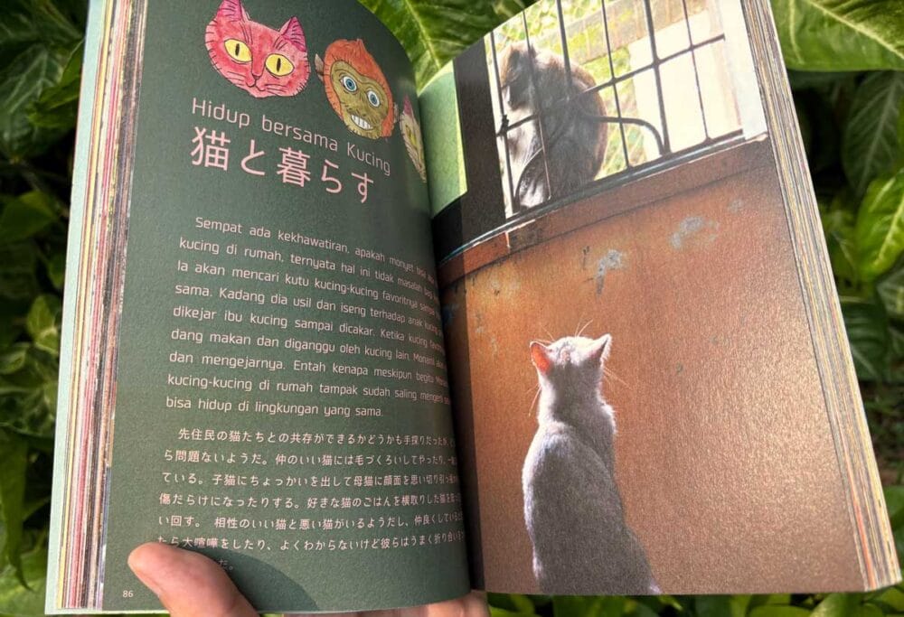 「インドネシア、ボロブドゥールで暮らすお猿、モナミの日常」より